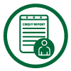 Consumer Credit Report