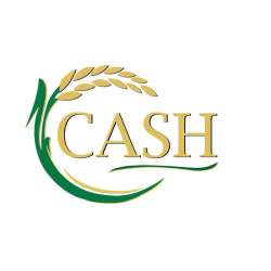 Golden Cash Microfinance Institution Plc